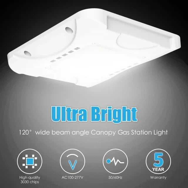 Canopy Lights-popular_category
