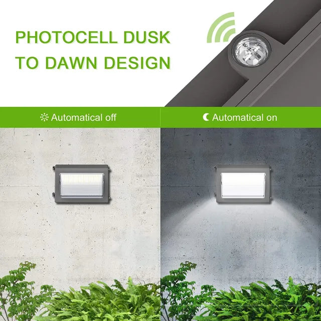 Wall Pack Lights-popular_category