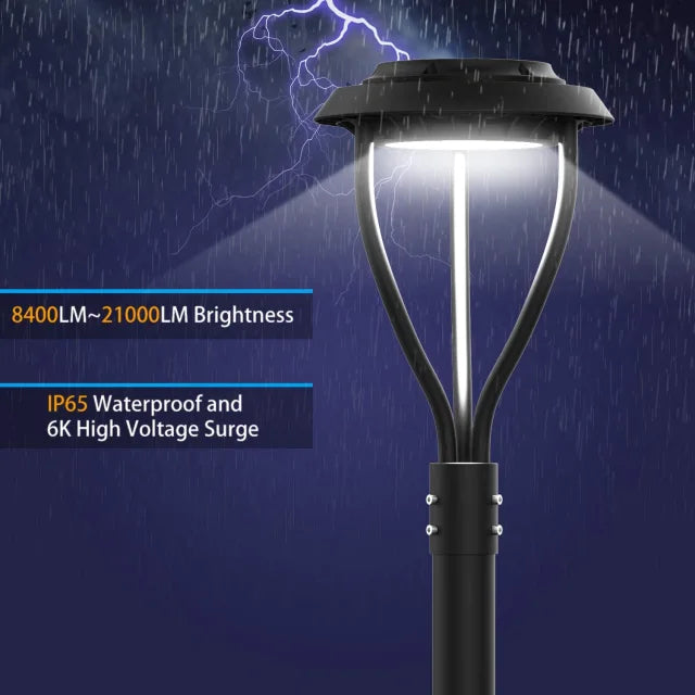 Post top Lights-popular_category